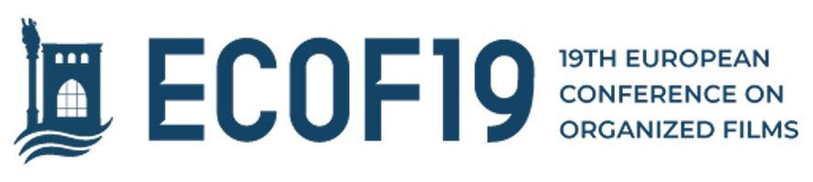 ECOF19 logo