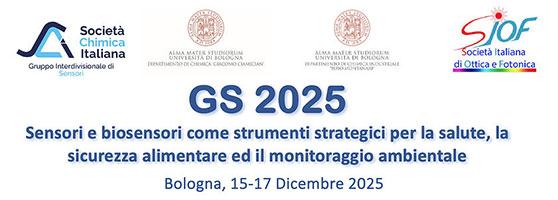 GS 2025 Workshop del Gruppo Interdivisionale Sensori